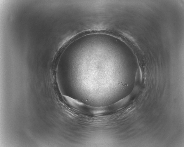 X0000066091160200603101158