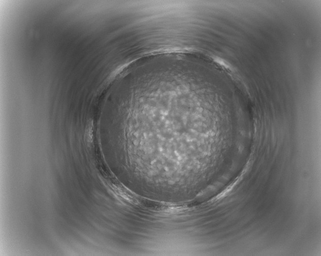 X0000066091161200603101158