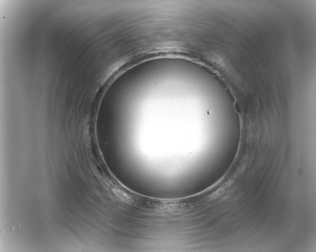 X0000066091162200603101158