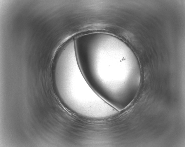 X0000066091164200603101158