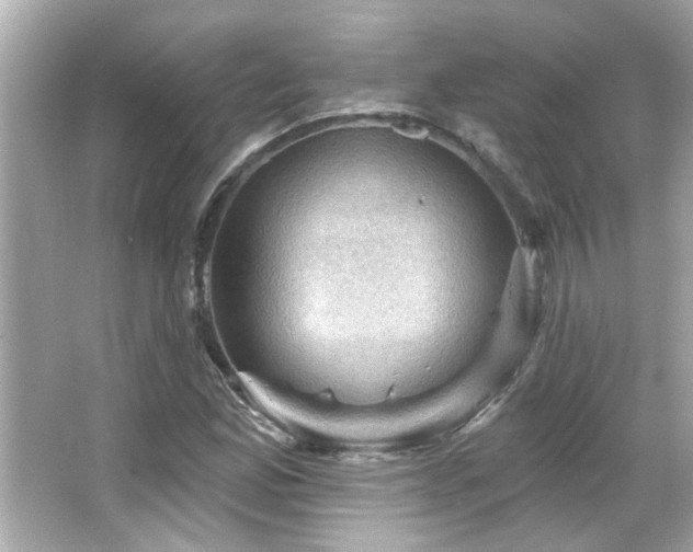 X0000066091165200603101158