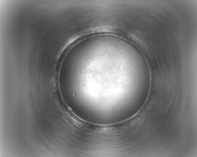 X0000066091166200603101158