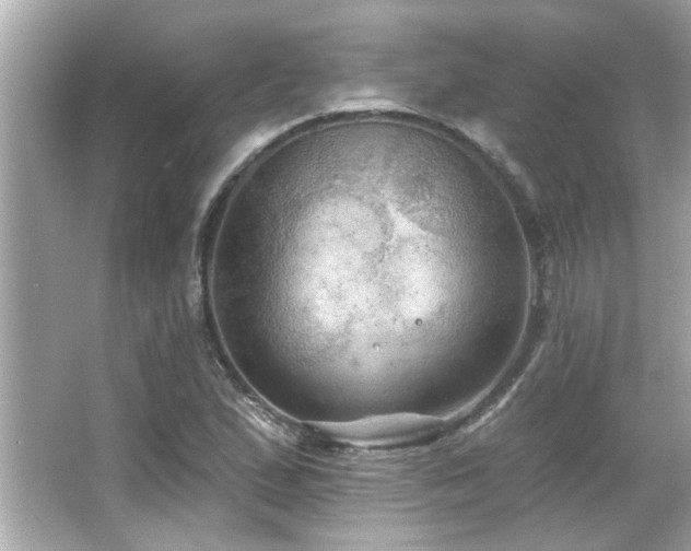 X0000066091167200603101158