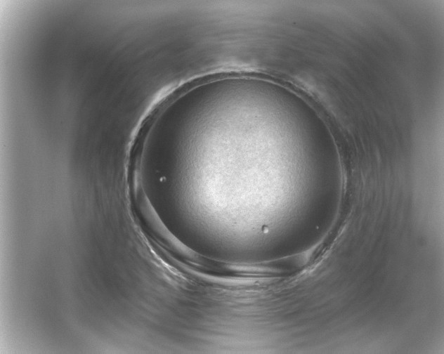 X0000066091168200603101158