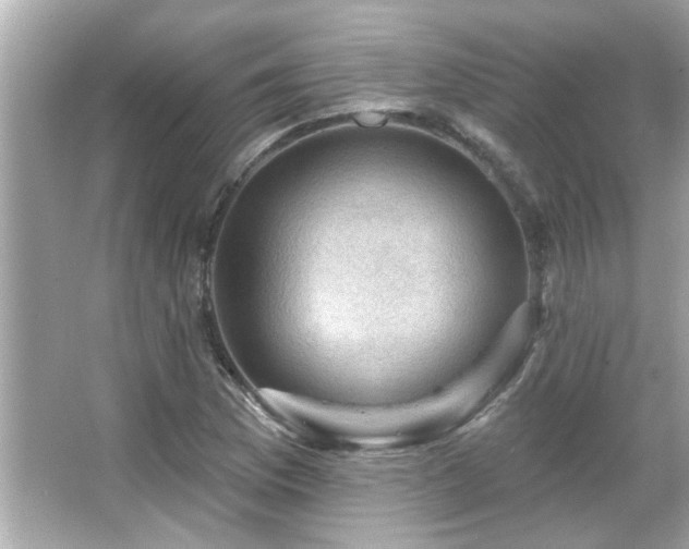 X0000066091169200603101158