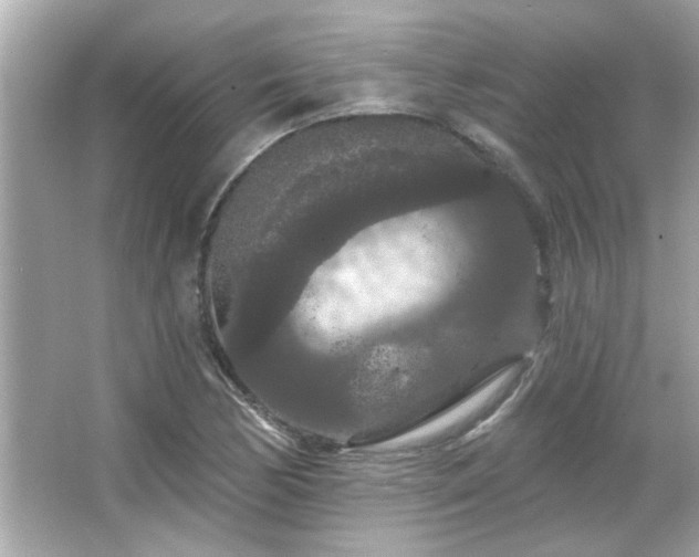 X0000066091170200603101158