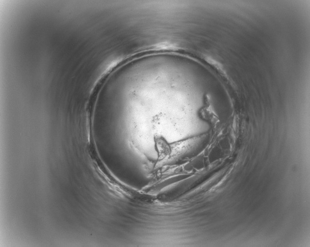 X0000066091171200603101158