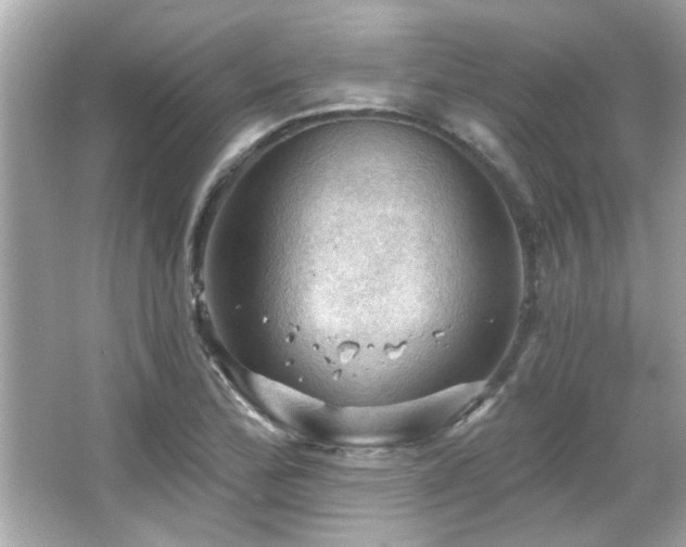 X0000066091172200603101158