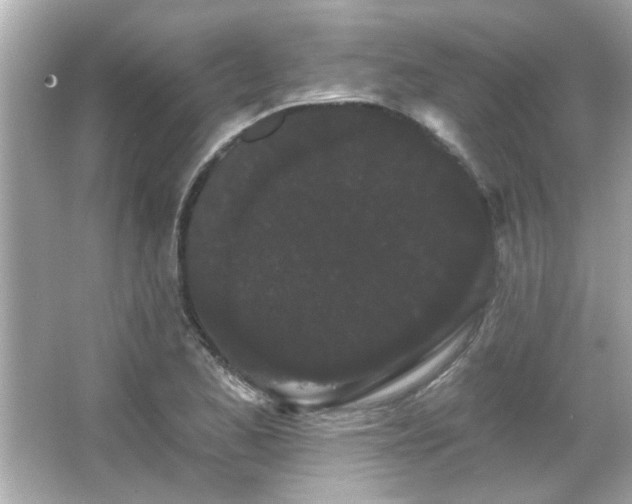 X0000066091173200603101158