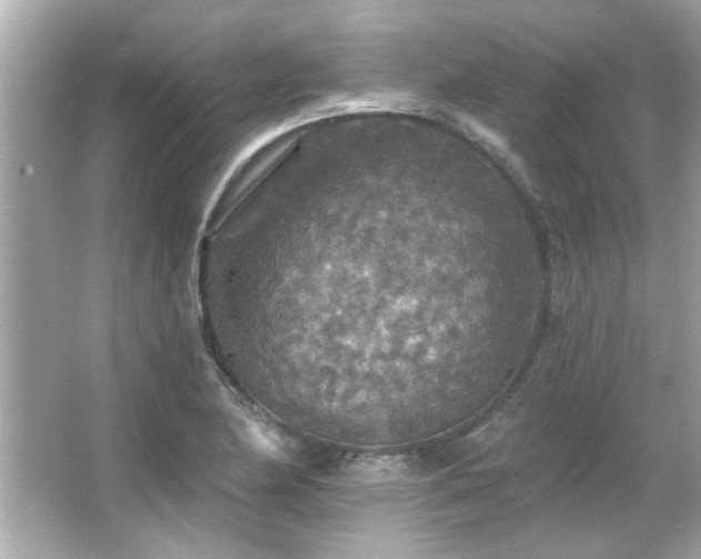 X0000066091174200603101158