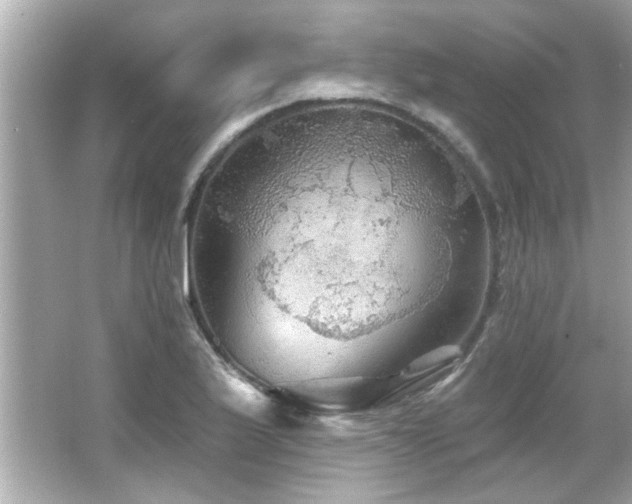 X0000066091175200603101158