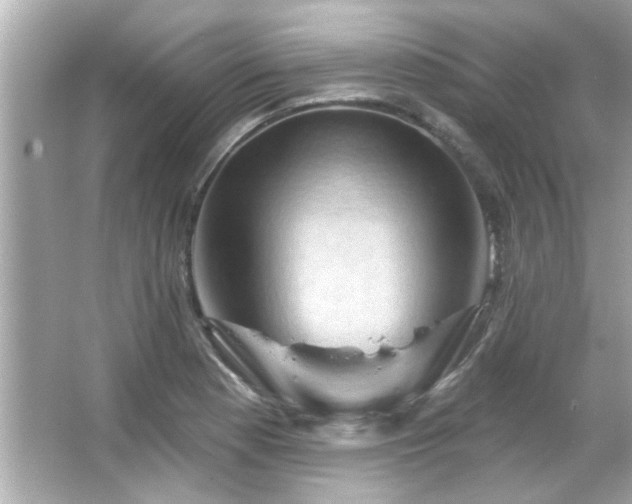 X0000066091177200603101158