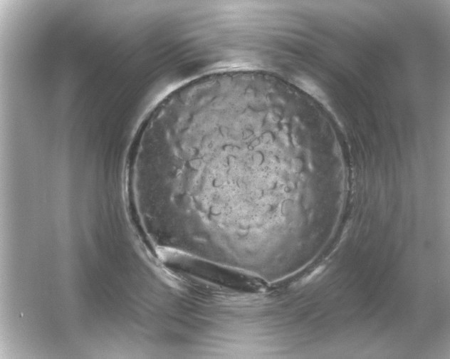 X0000066091179200603101158