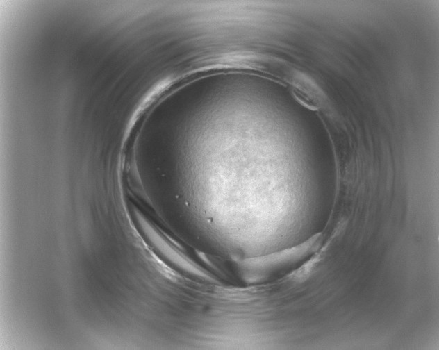 X0000066091180200603101158