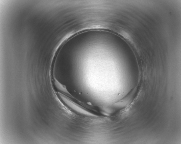 X0000066091181200603101158