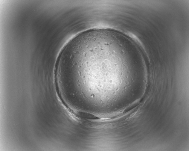 X0000066091183200603101158