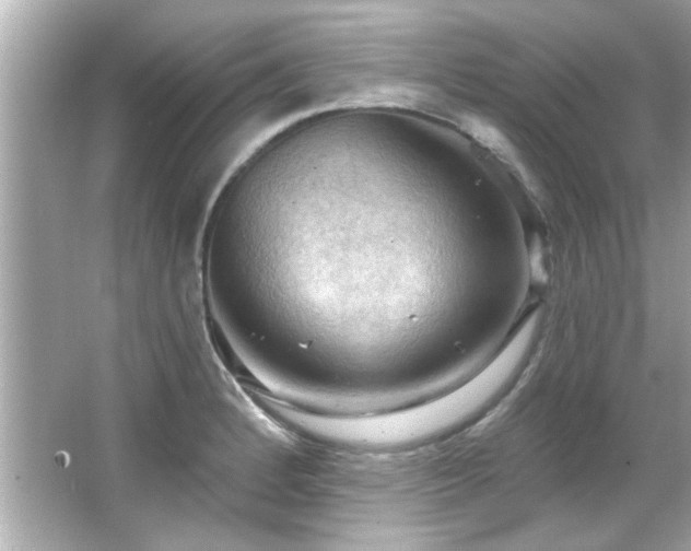 X0000066091184200603101158