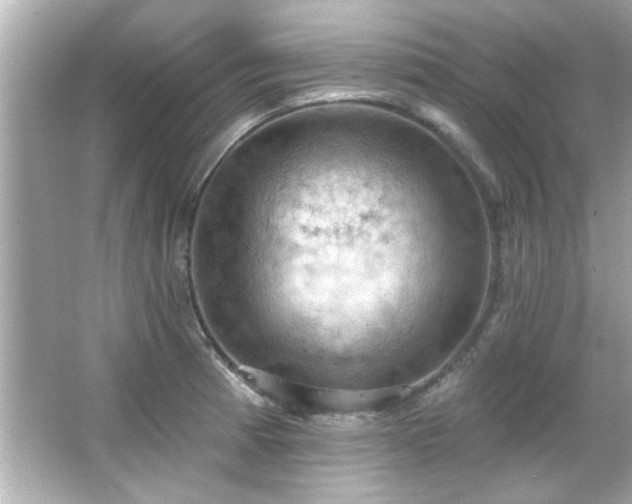 X0000066091185200603101158