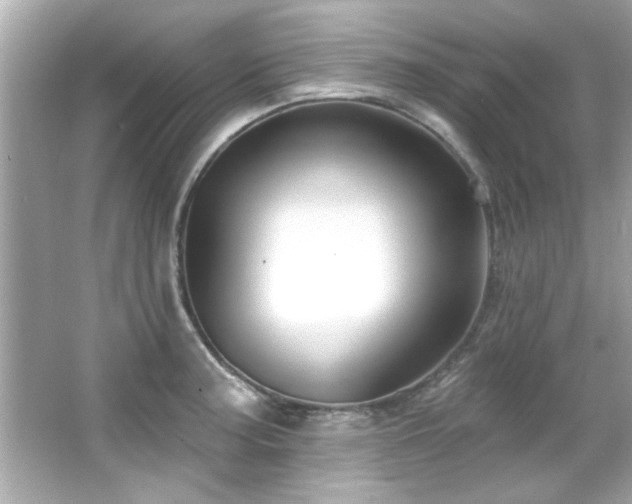 X0000066091187200603101158