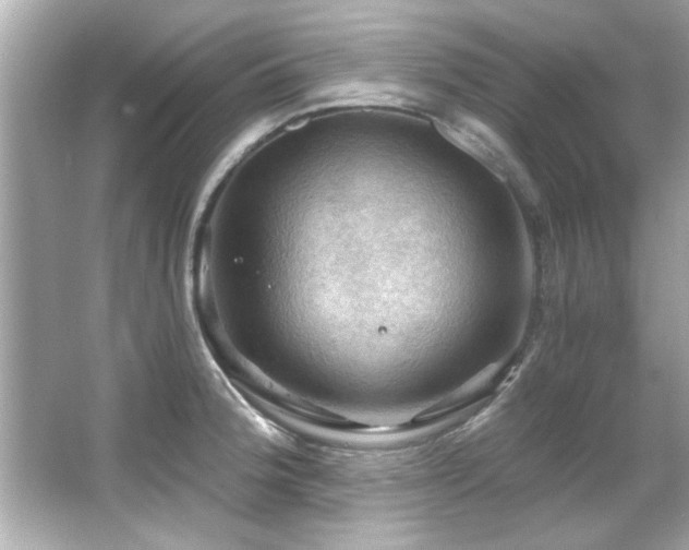 X0000066091188200603101158