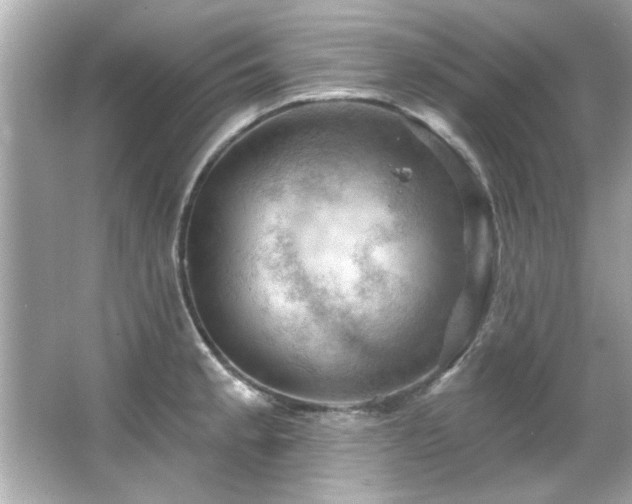 X0000066091189200603101158