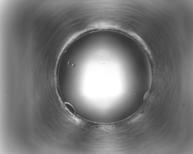 X0000066091191200603101158