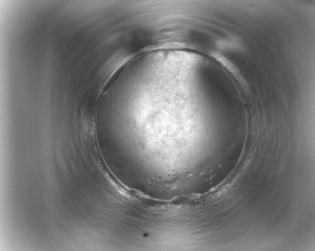 X0000066091193200603101158