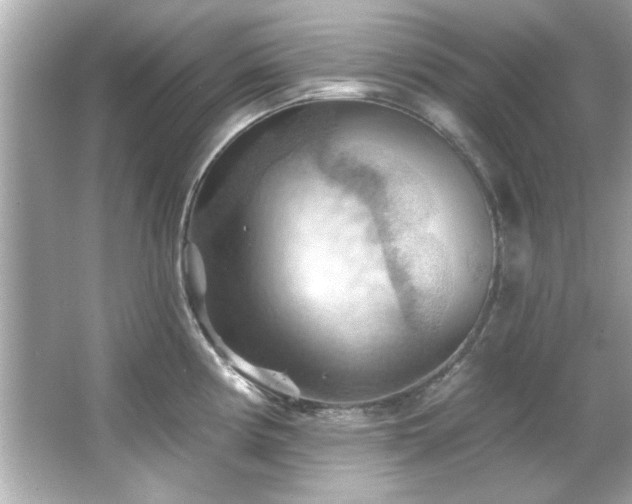 X0000066091194200603101158