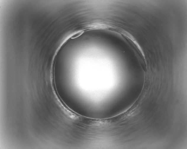 X0000066091195200603101158