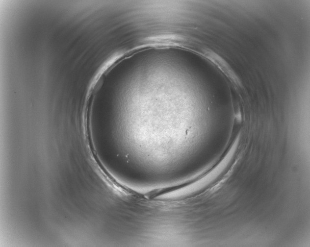 X0000066091196200603101158