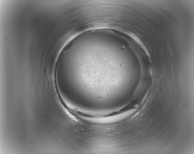 X0000066091197200603101158