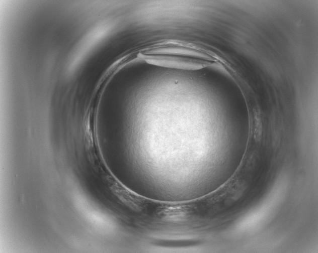 X0000066091198200603101158