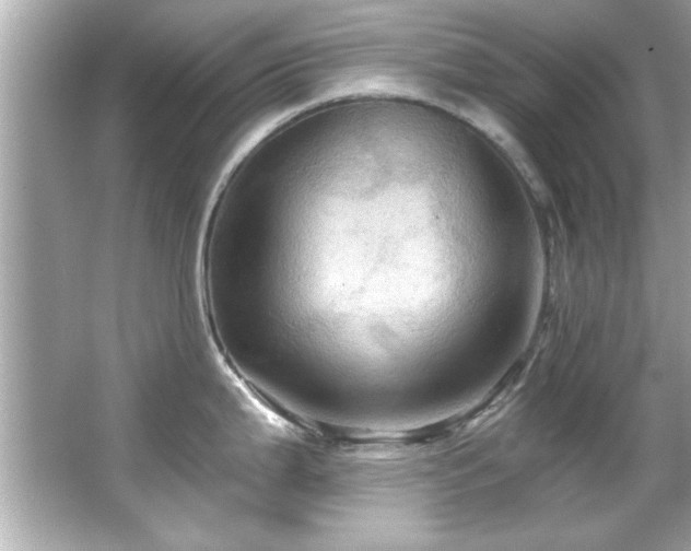 X0000066091199200603101158