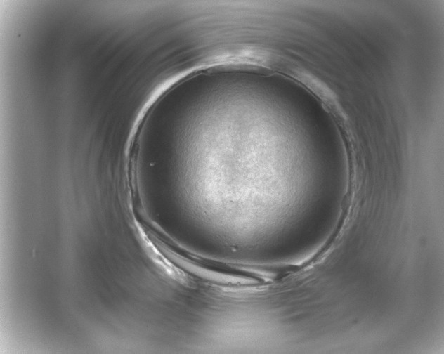 X0000066091200200603101158