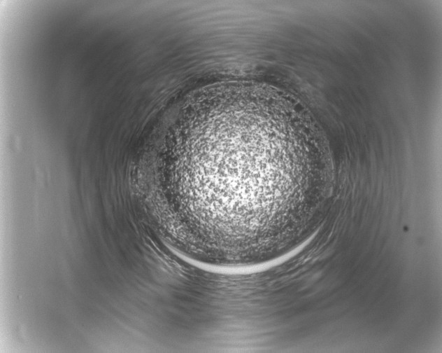 X0000066091202200603101157