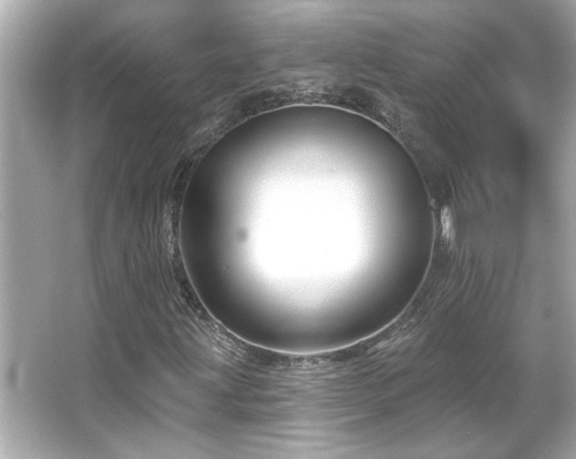 X0000066091203200603101157