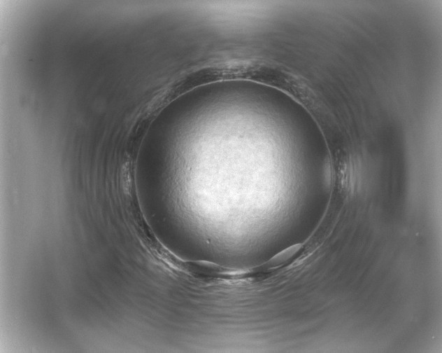 X0000066091204200603101157