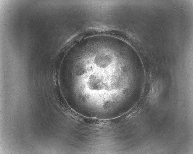 X0000066091205200603101157