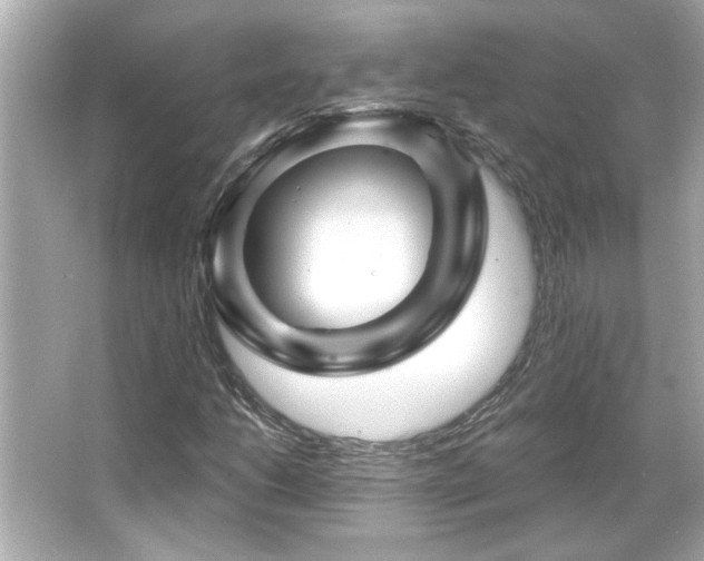 X0000066091206200603101157