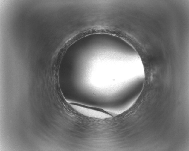 X0000066091207200603101157