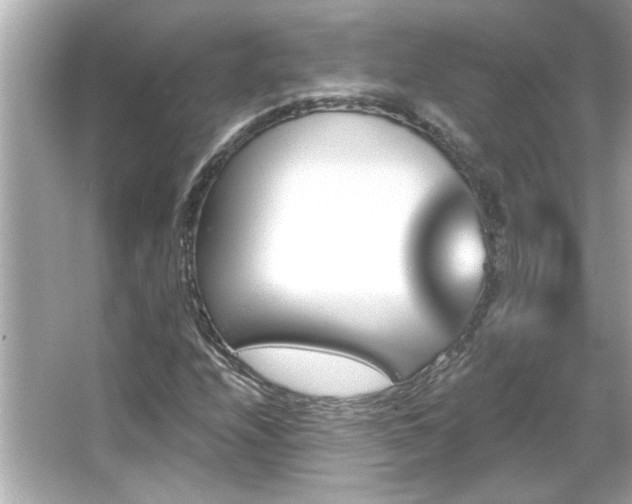 X0000066091208200603101157