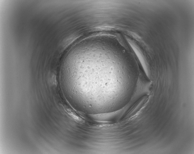 X0000066091209200603101157