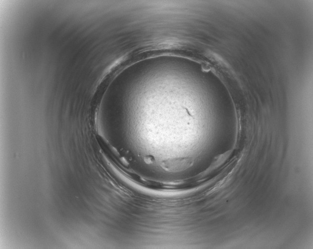 X0000066091210200603101157