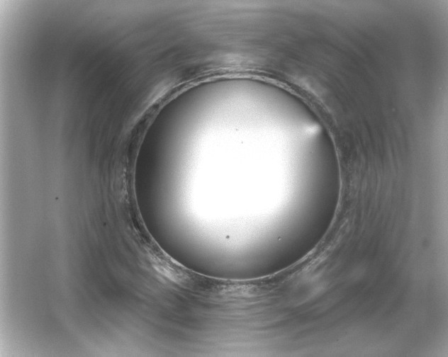 X0000066091211200603101157