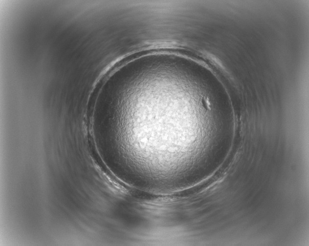 X0000066091212200603101157