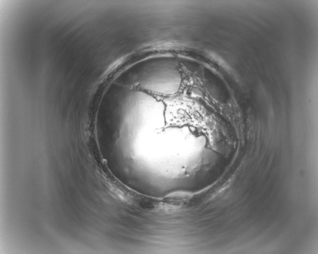 X0000066091213200603101157