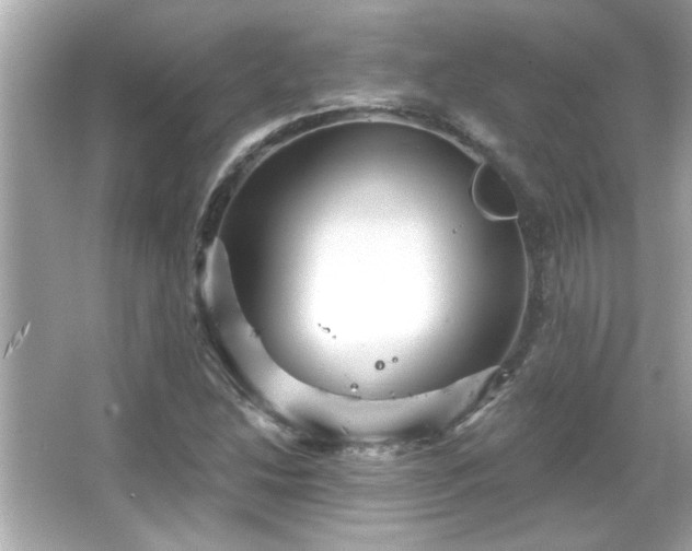 X0000066091214200603101157