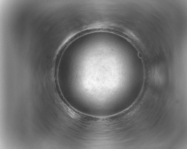 X0000066091216200603101157