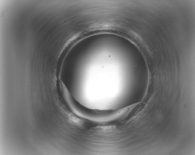 X0000066091218200603101157