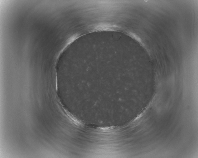 X0000066091219200603101157